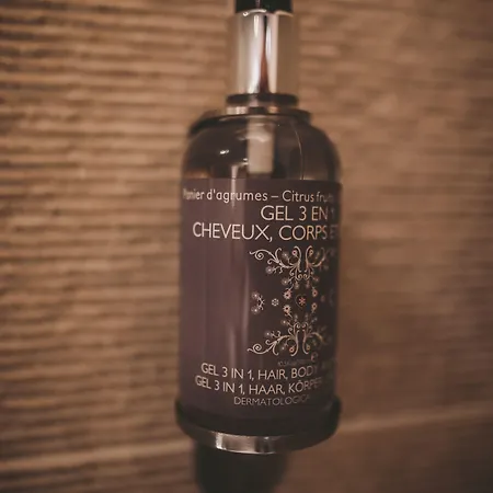 Hors-château - Centre Historique 3*