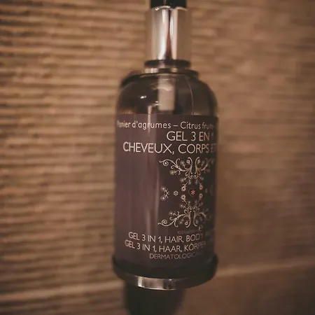 Hotel Hors-château - Centre Historique